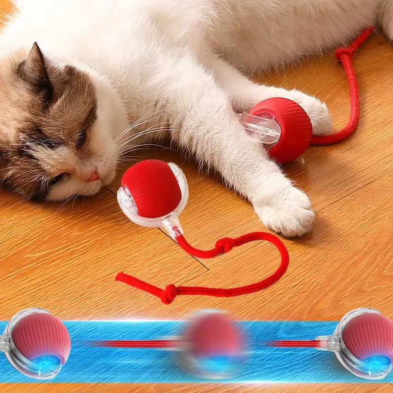 Interactive Motion Activated Plush Cat Toy Ball
