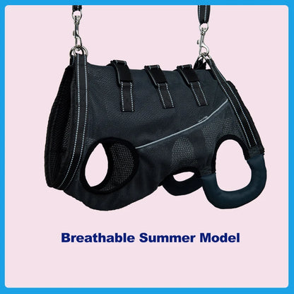 Rehabilitation Sling Carrier with Padded Straps | Breathable Hip Support for Hind Legs