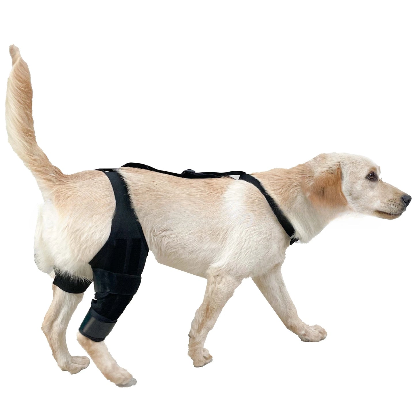 Dog Leg Support Brace (Knee Hip Joint)