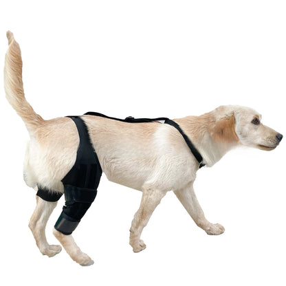Dog Leg Support Brace (Knee Hip Joint)