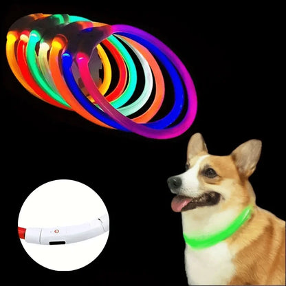 Luminous LED Light Anti-Lost Dog Collar