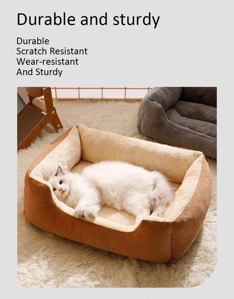 Cushioned Bed for Cats and Dogs
