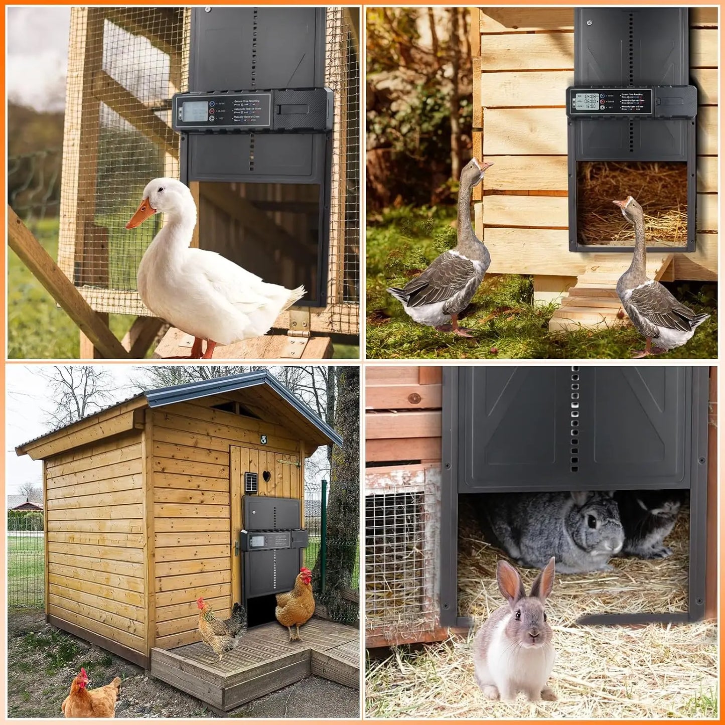 Large Size Solar Powered Fully Automatic Chicken Coop Door Aluminum Alloy with Timer Remote LCD Control for Easy Coop Management
