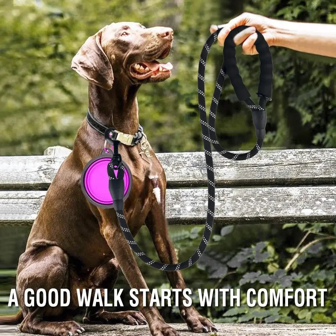 Reflective Strong Nylon Leash for All Breeds
